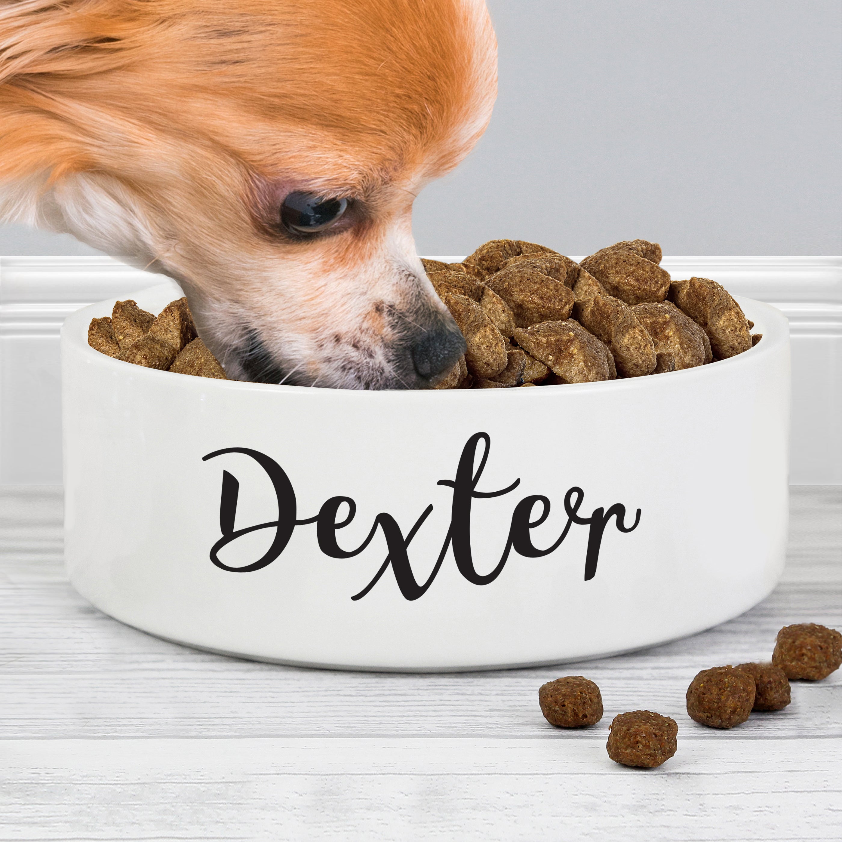 Personalised Pet Gifts