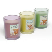 Jan Pashley Highland Coo Candle
