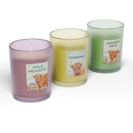 Jan Pashley Highland Coo Candle