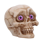 Eyes Wide Open (Pink) 8.7cm